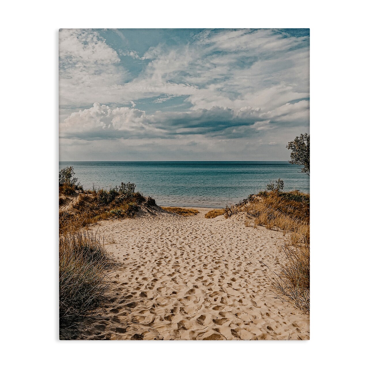Stupell Industries Traveled Beach Path Canvas Wall Art Design by LSR Design Studio